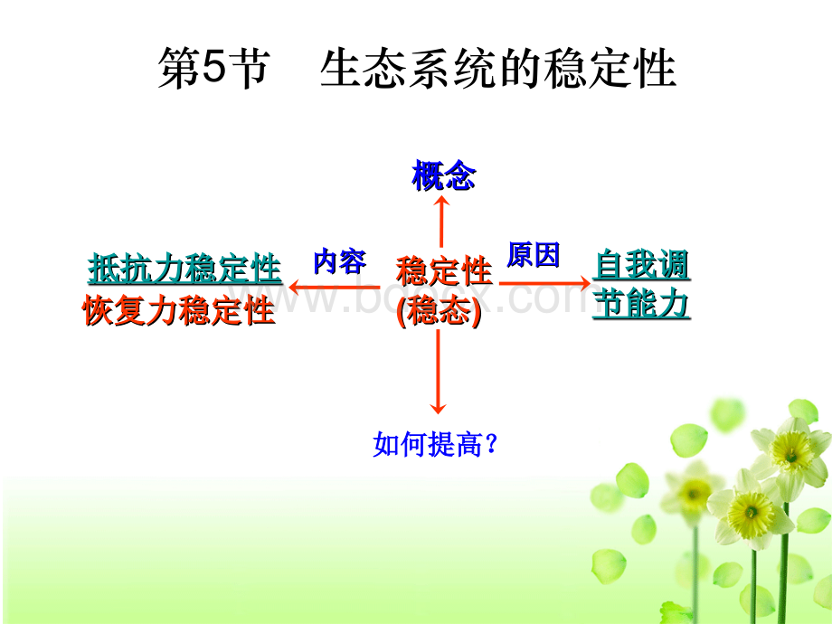 第五节生态系统的稳定性上课用.ppt