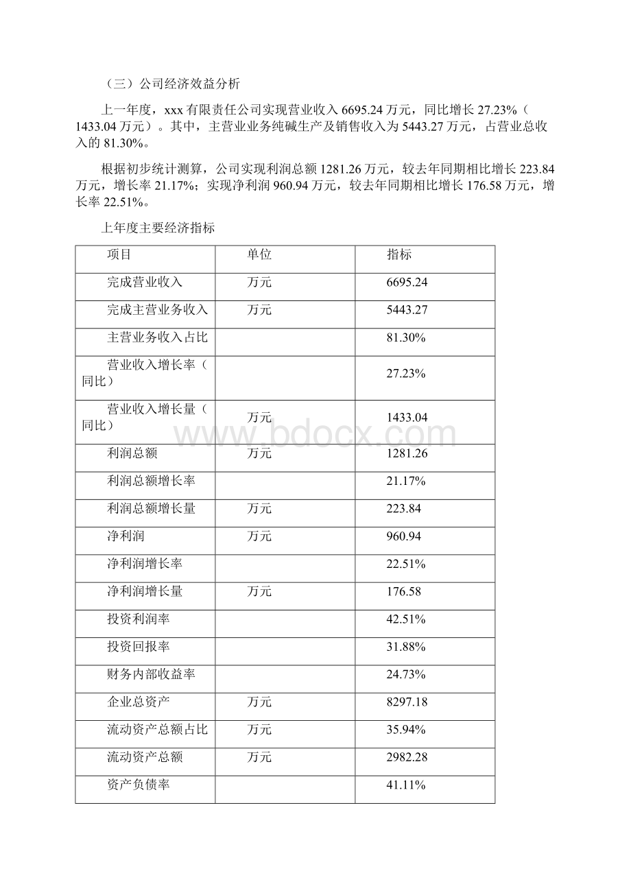 新建纯碱项目投资计划.docx_第2页