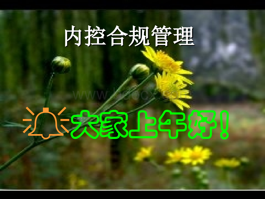 内控合规管理.ppt_第1页