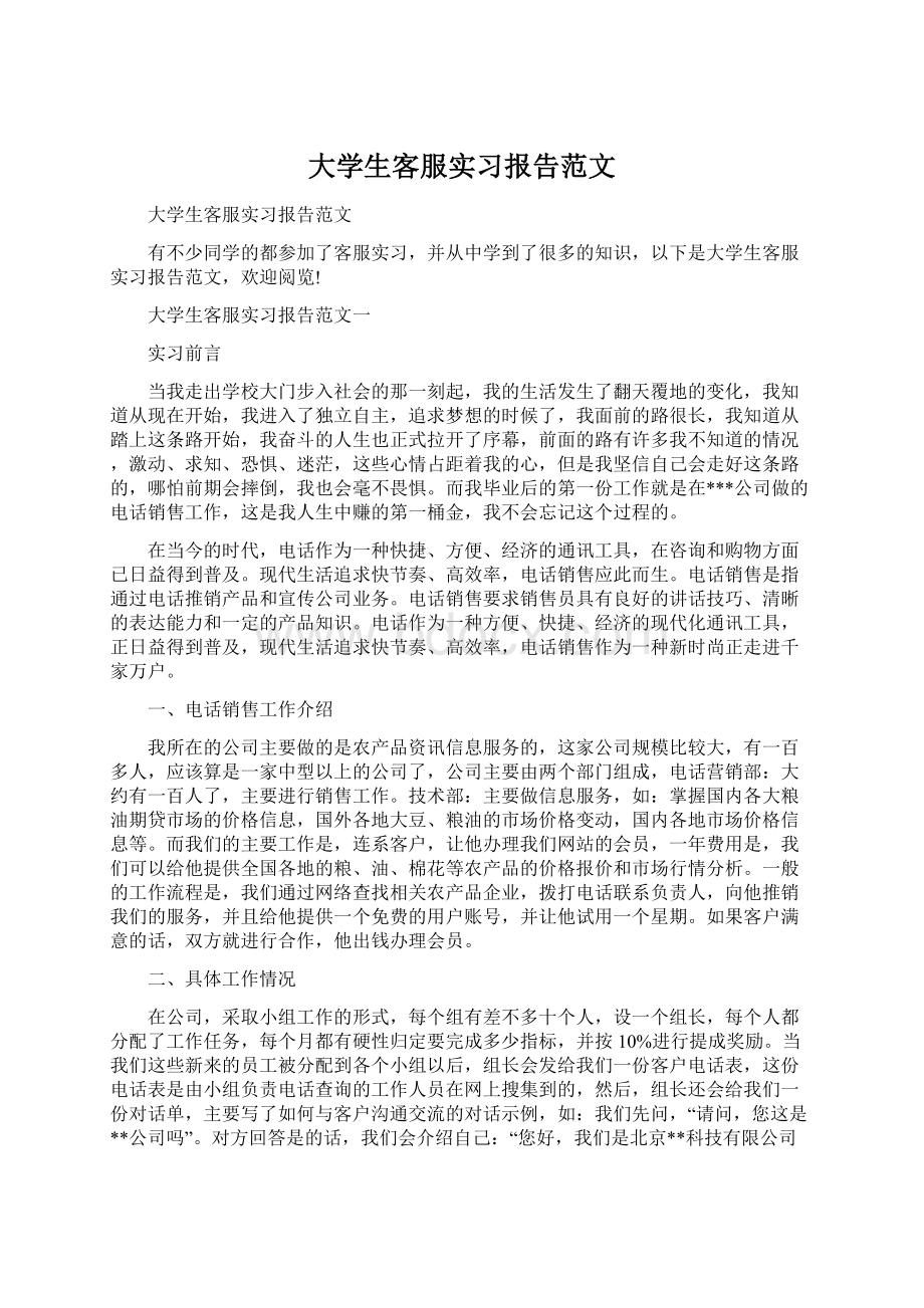 大学生客服实习报告范文Word下载.docx