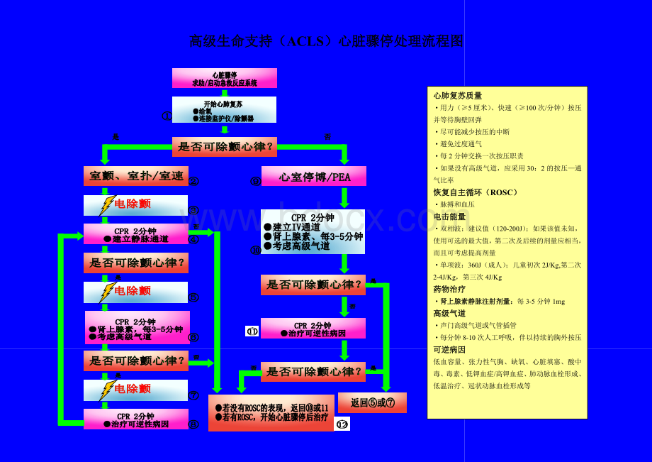 高级生命支持ACLS心脏骤停处理流程图新修_精品文档Word格式.doc