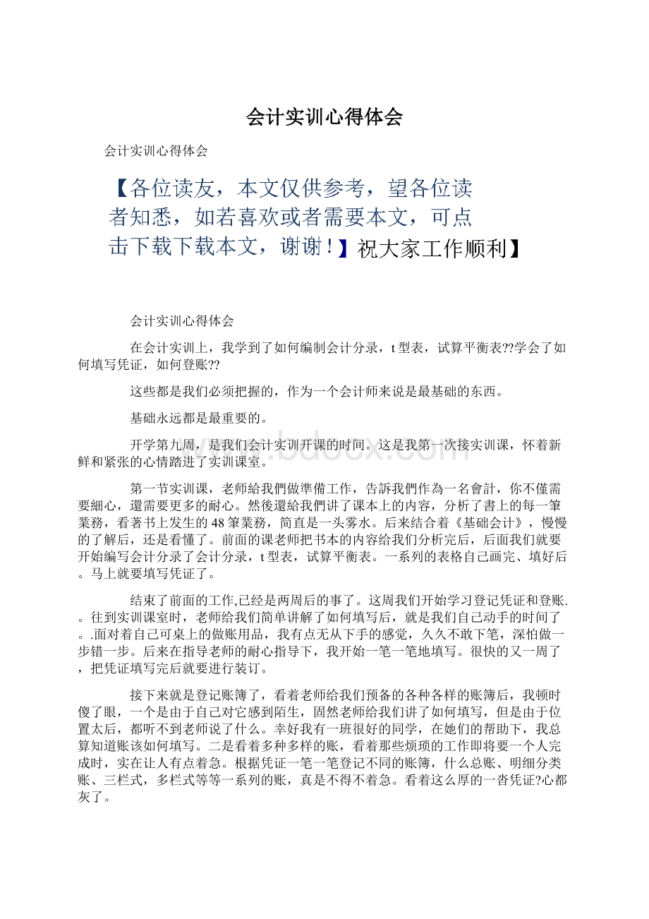 会计实训心得体会文档格式.docx