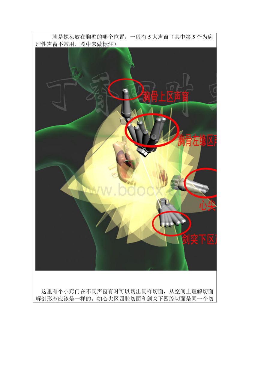 3D图解心脏解剖与心脏超声切面Word文档下载推荐.docx_第2页