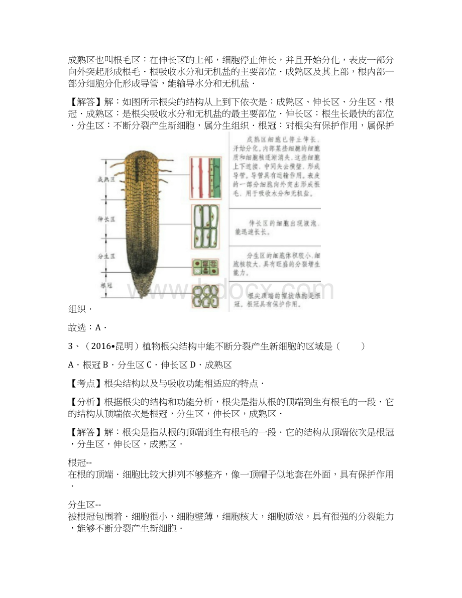 中考生物最新全国中考生物试题专题练习3Word格式文档下载.docx_第2页