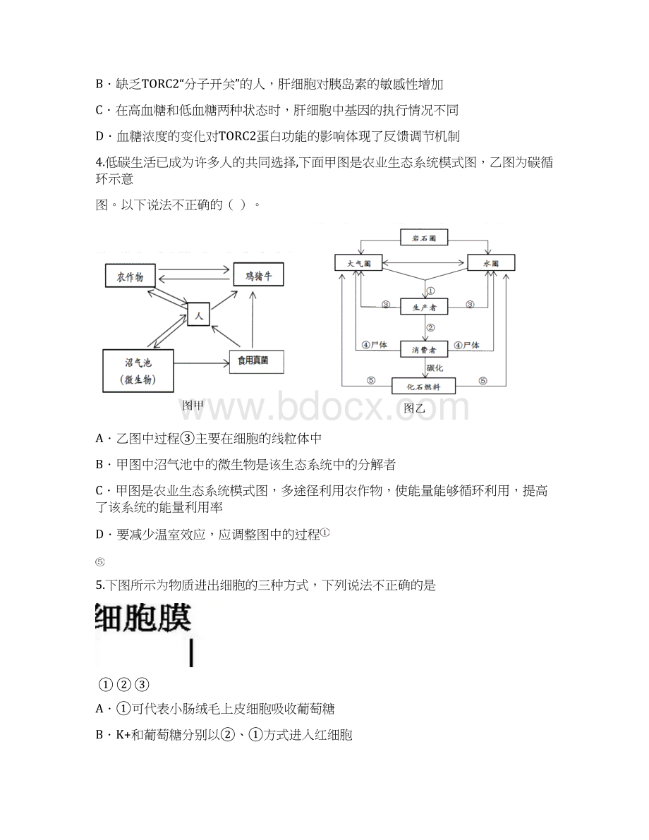 协作体届高三第一次联考生物试题含答案.docx_第2页