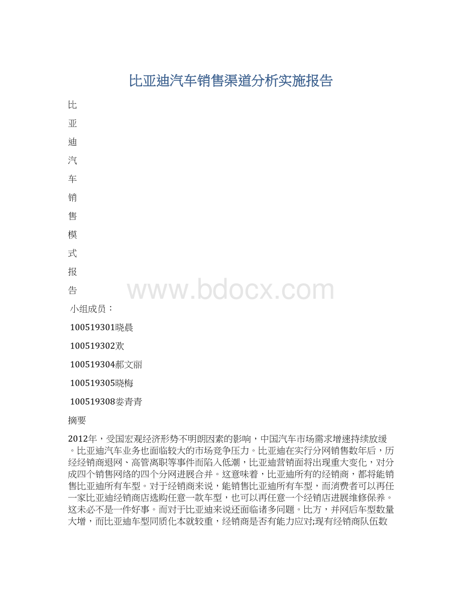 比亚迪汽车销售渠道分析实施报告文档格式.docx_第1页