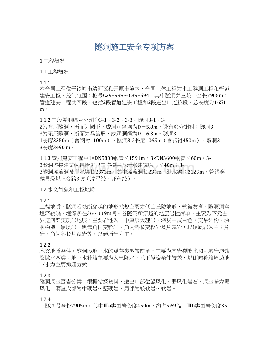 隧洞施工安全专项方案Word文档格式.docx_第1页