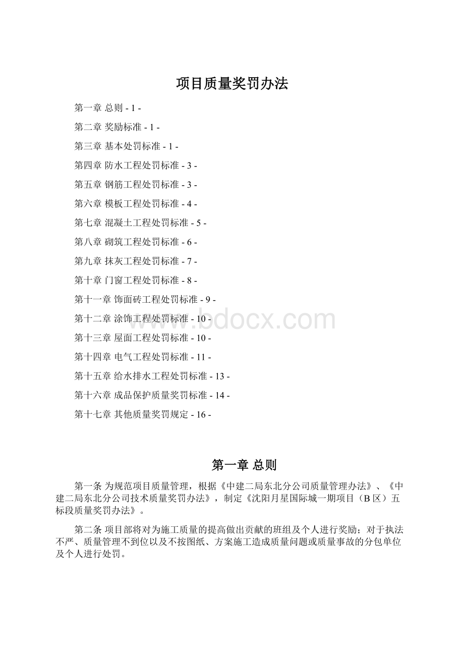 项目质量奖罚办法Word文件下载.docx