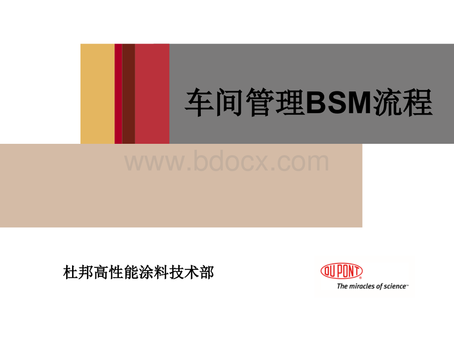 BSM-标准版(DPR)优质PPT.ppt