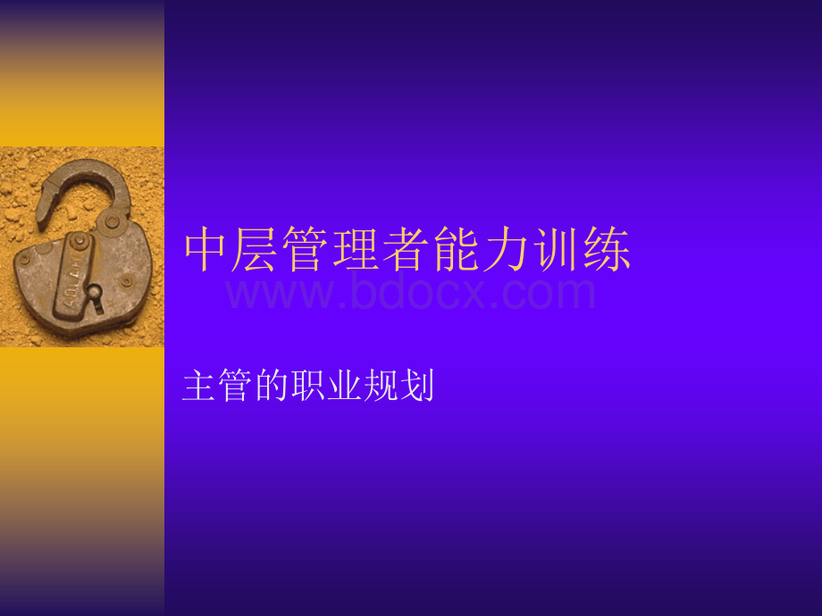 中层管理者能力训练.ppt_第1页