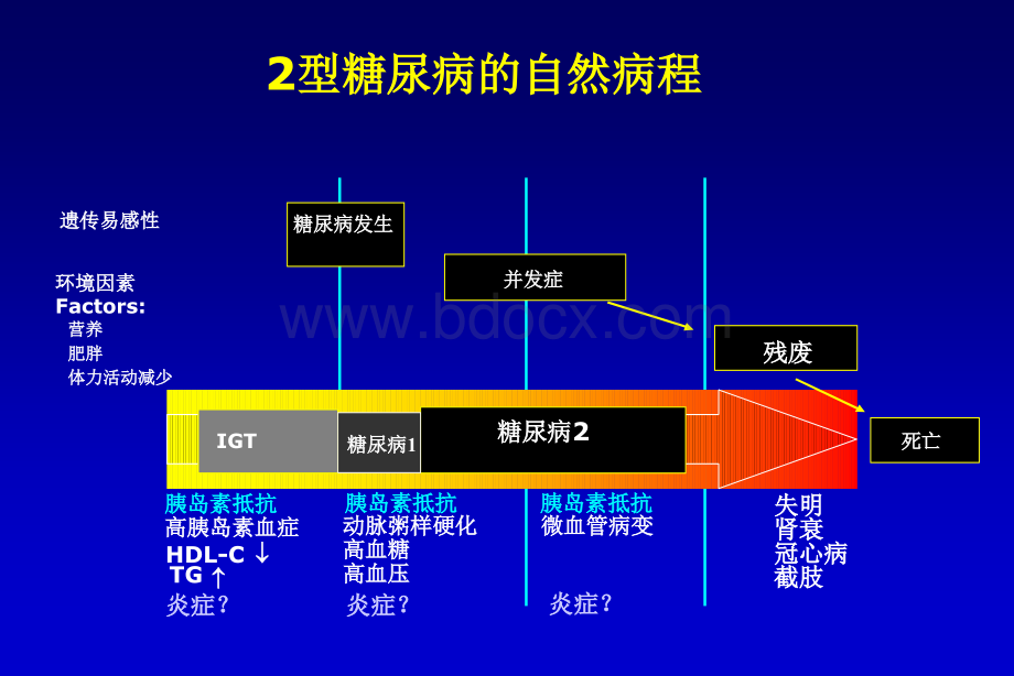 餐后高血糖与心血管_精品文档PPT格式课件下载.ppt_第3页