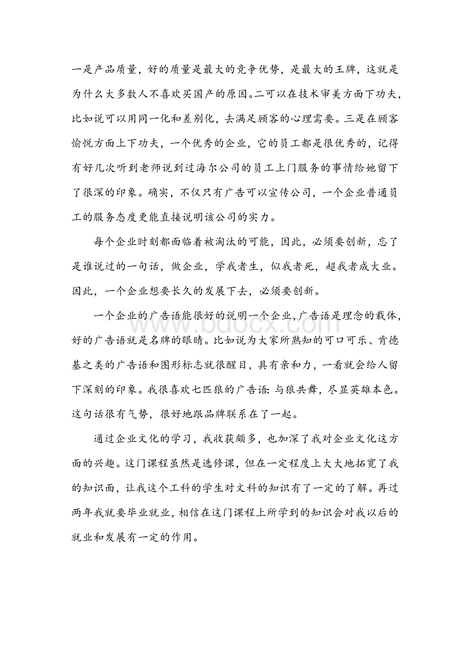 企业文化与CIS策划Word格式文档下载.doc_第2页