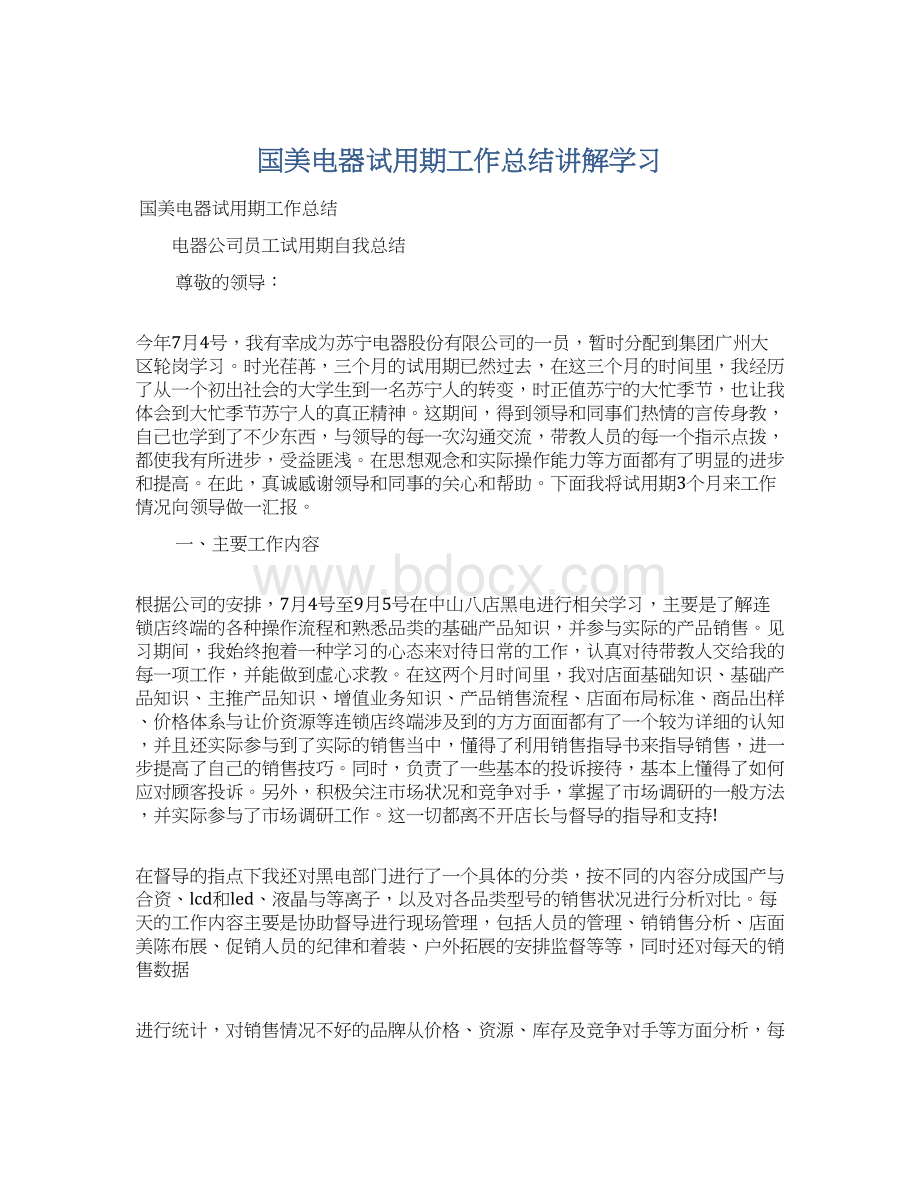 国美电器试用期工作总结讲解学习.docx