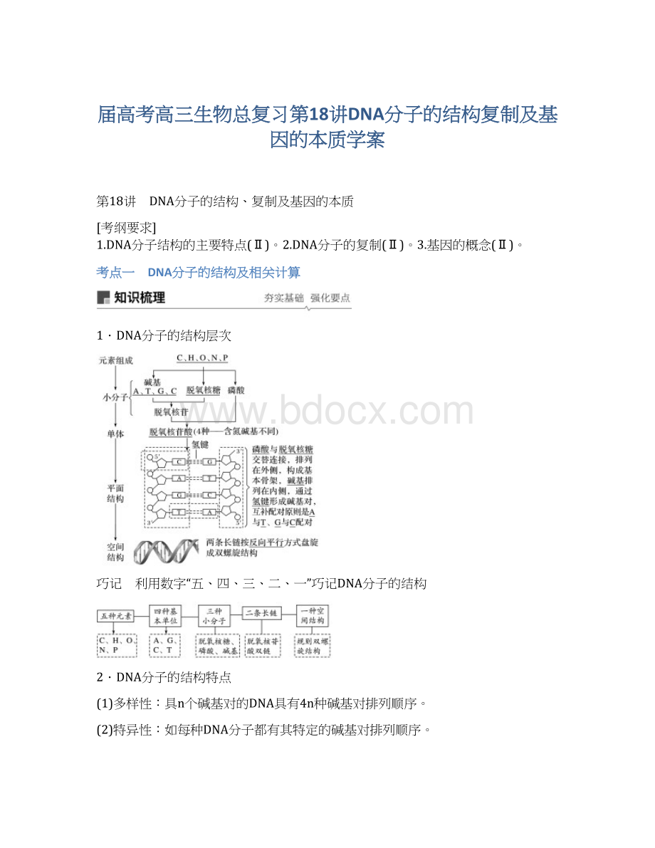 届高考高三生物总复习第18讲DNA分子的结构复制及基因的本质学案Word格式文档下载.docx_第1页