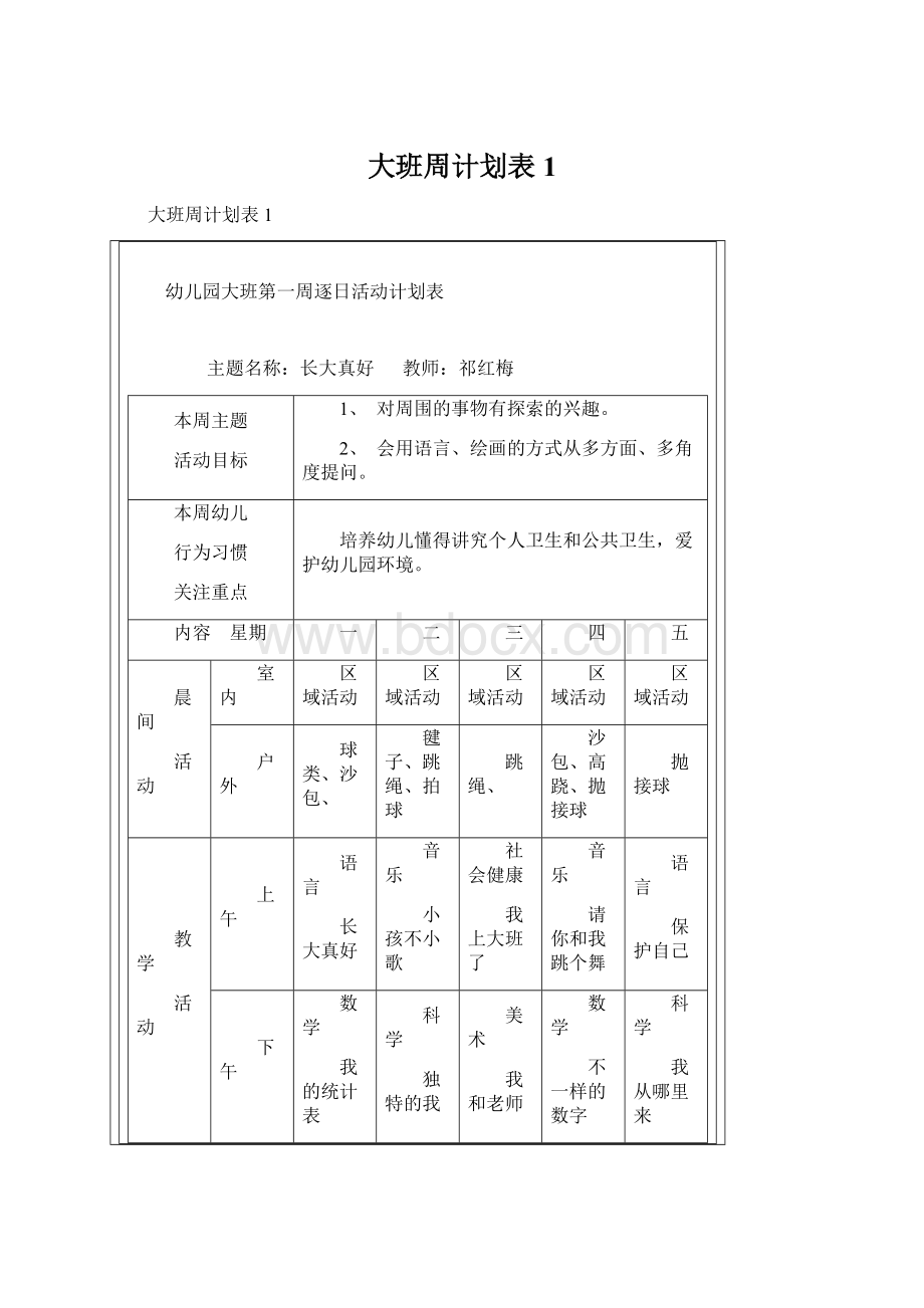 大班周计划表1文档格式.docx