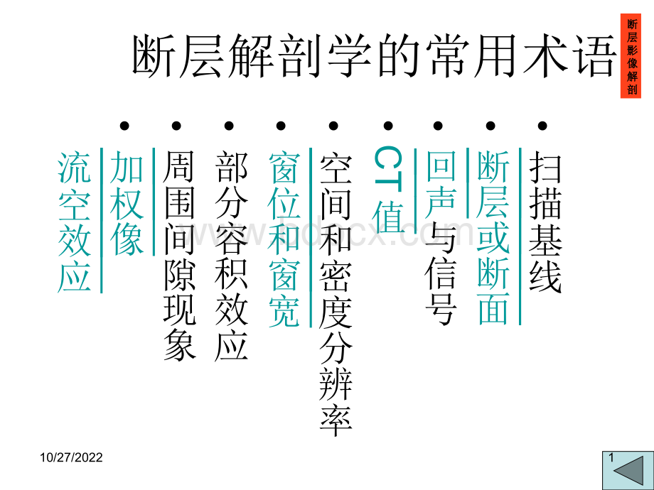 颅脑断层解剖学头颈部_精品文档.ppt