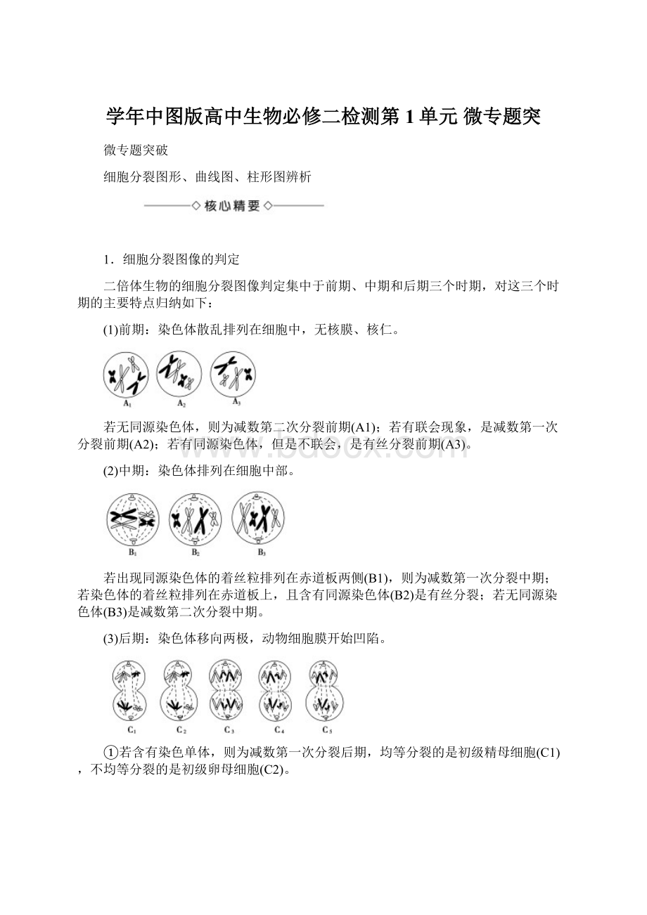 学年中图版高中生物必修二检测第1单元 微专题突.docx