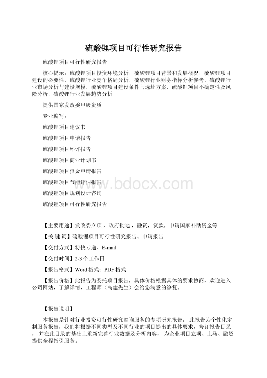 硫酸锂项目可行性研究报告.docx