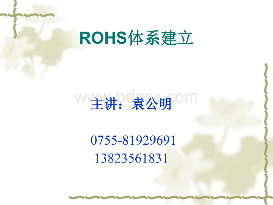 ROHS体系的建立优质PPT.ppt_第1页