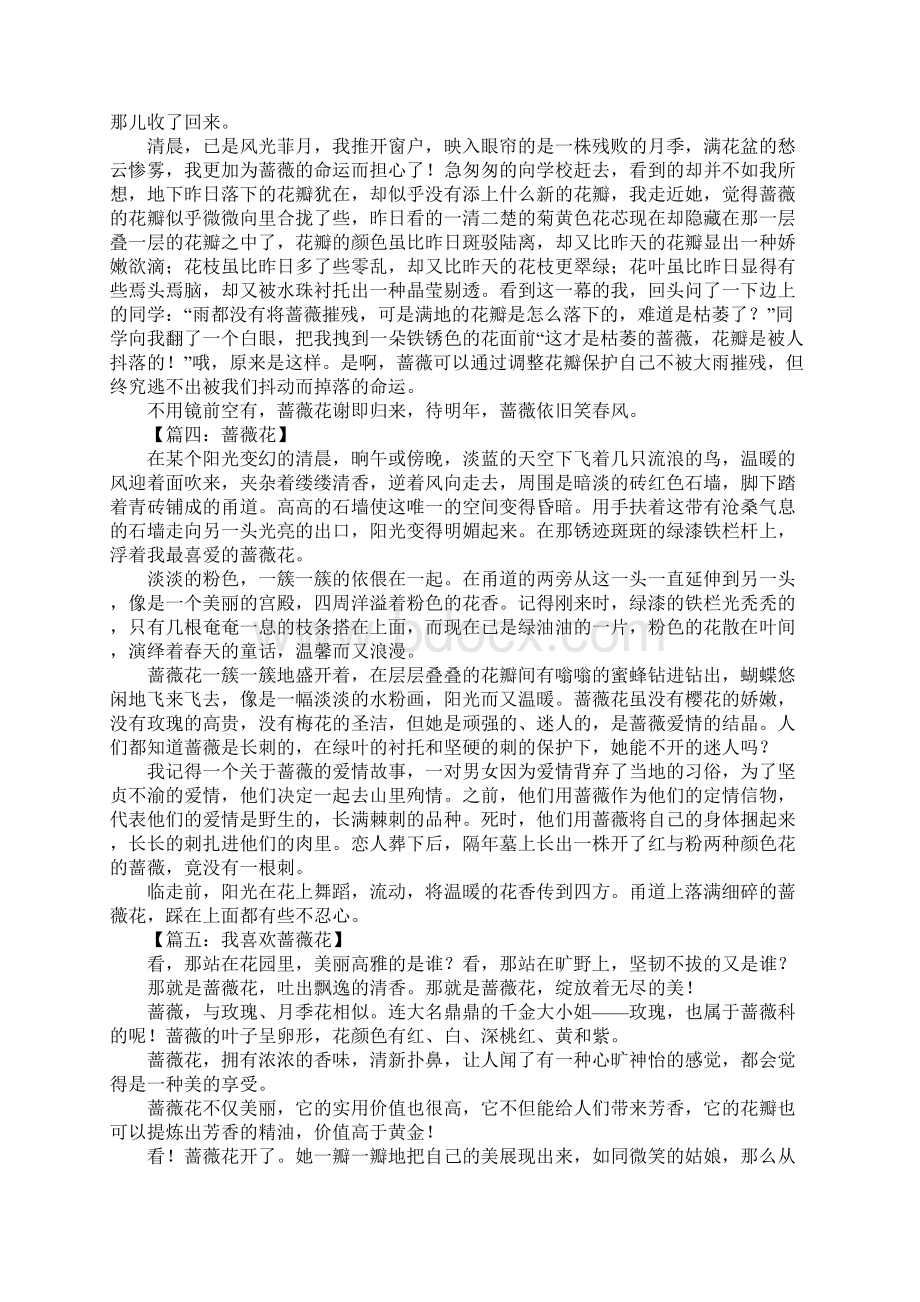 蔷薇花作文Word格式文档下载.docx_第2页