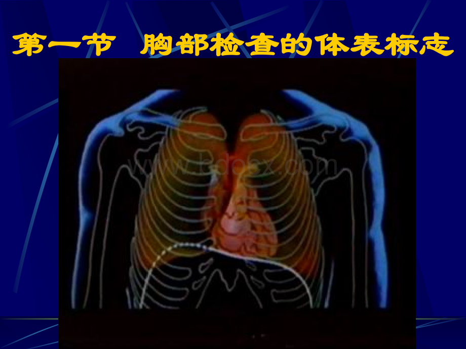 诊断学---胸部体格检查_精品文档PPT格式课件下载.ppt_第2页