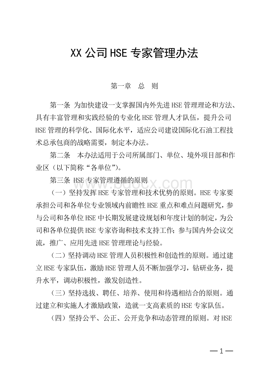 公司HSE专家管理办法Word文档格式.doc_第1页