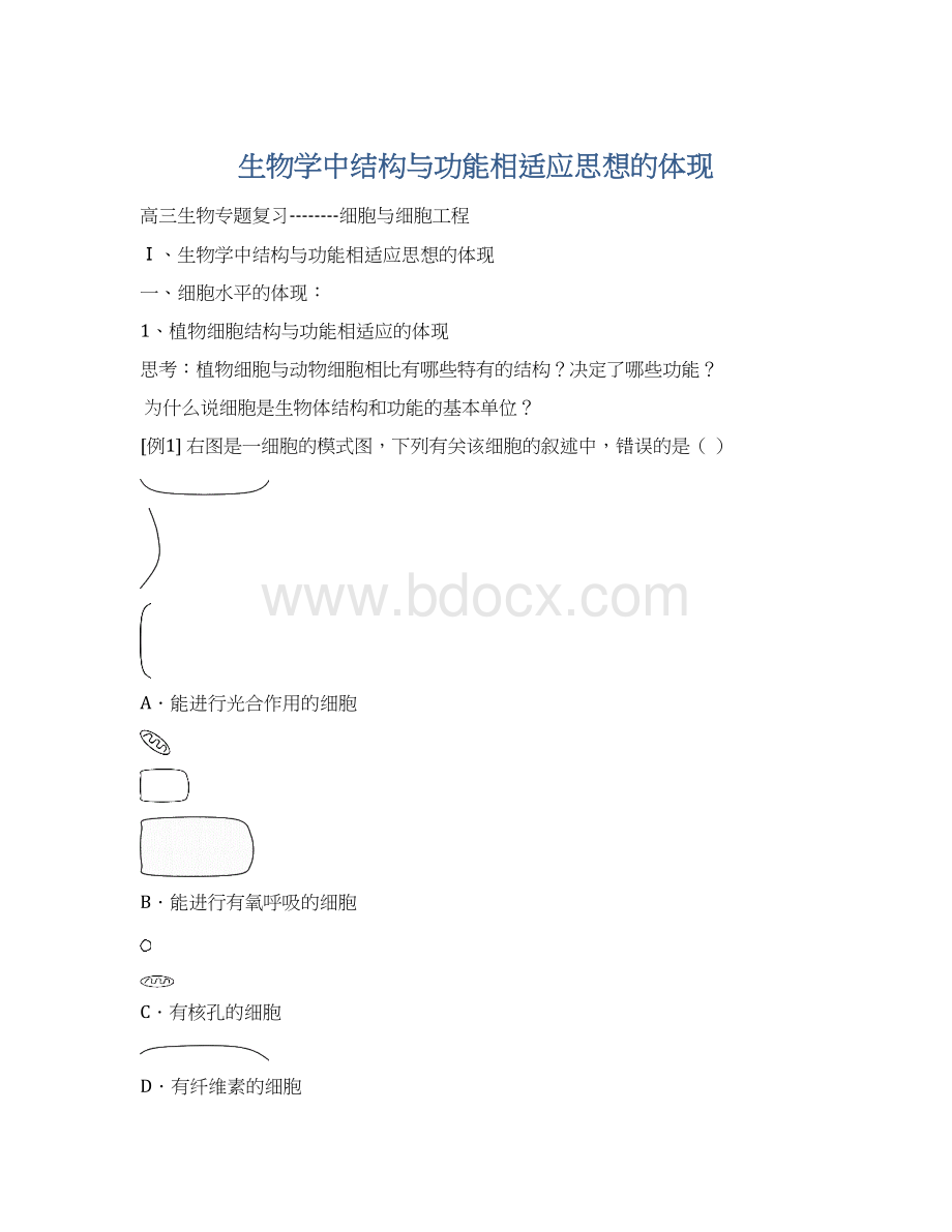 生物学中结构与功能相适应思想的体现.docx_第1页