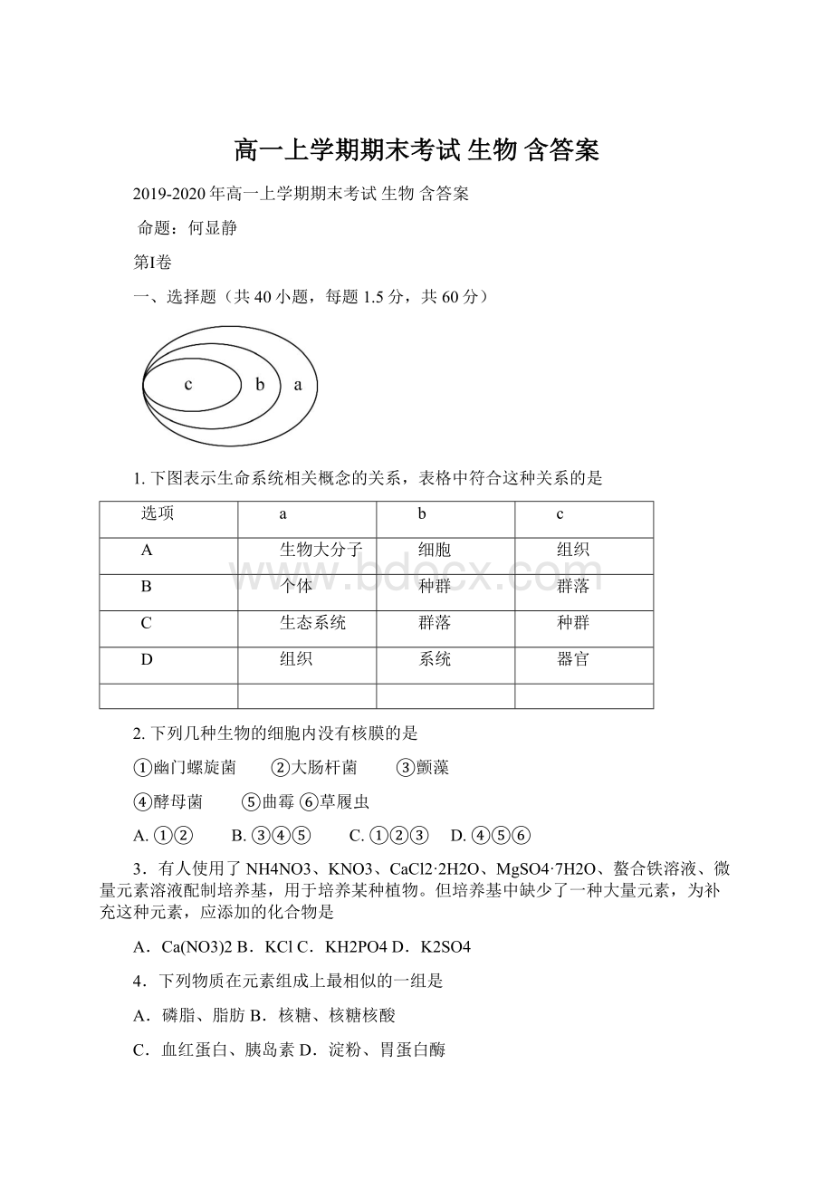 高一上学期期末考试 生物 含答案Word格式文档下载.docx