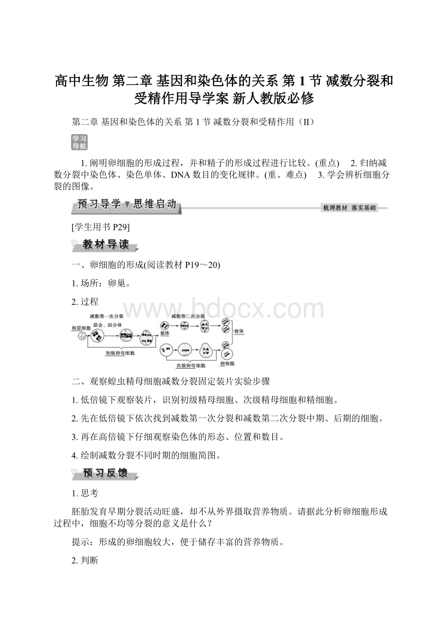 高中生物 第二章 基因和染色体的关系 第1节 减数分裂和受精作用导学案 新人教版必修Word下载.docx