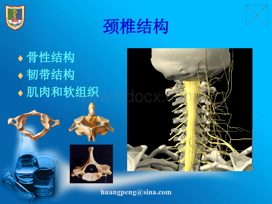 颈椎病康复PPT课件下载_精品文档.ppt_第3页