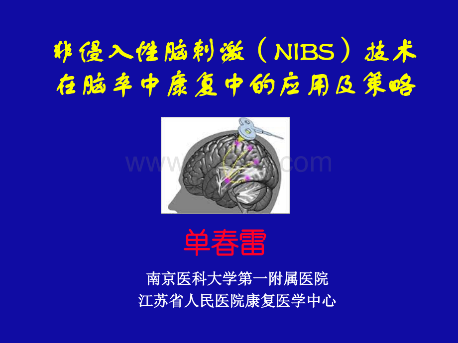 非侵入性脑刺激NIBS技术在脑卒中康复中的应用及策略-单春雷_精品文档.pptx_第1页