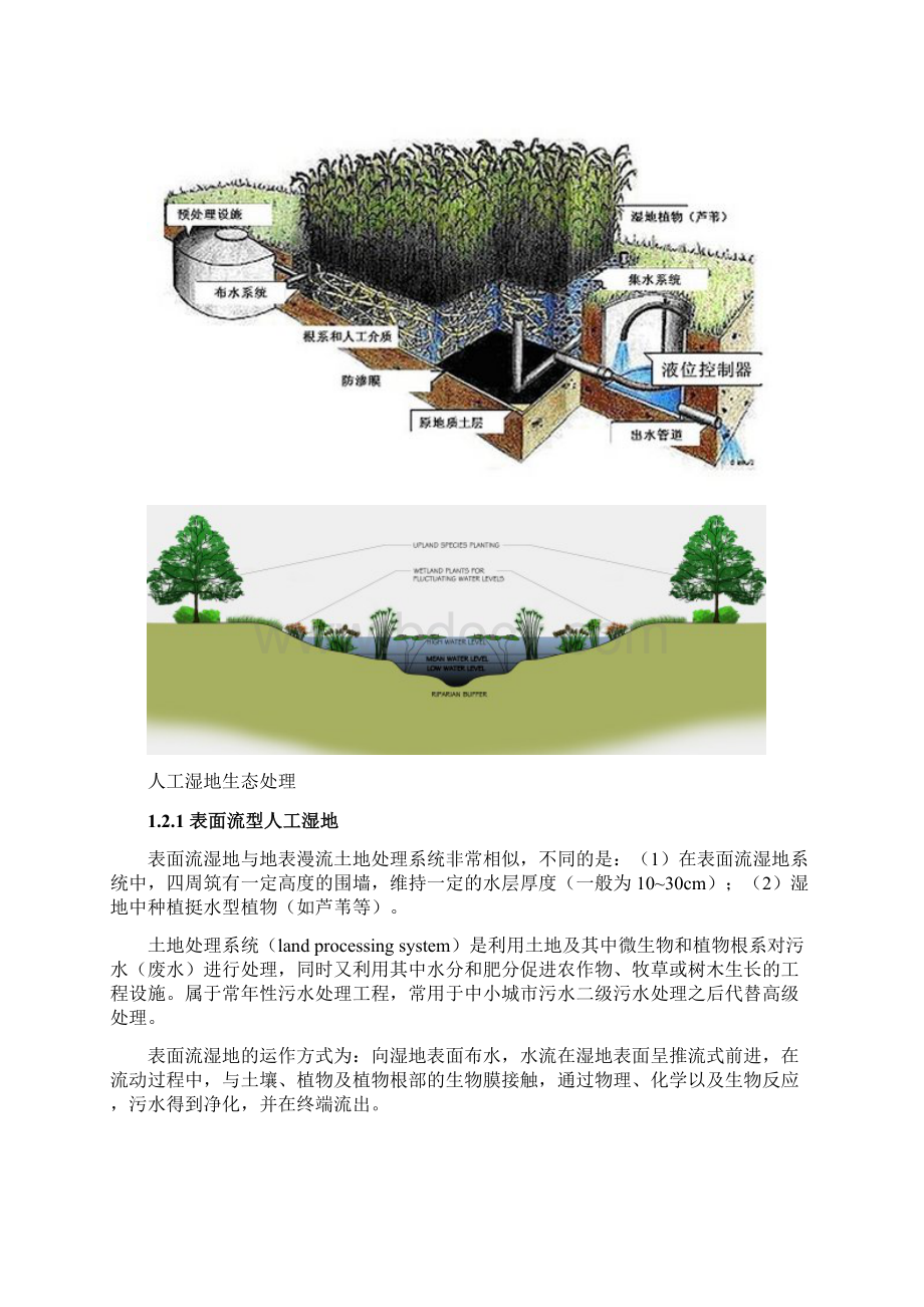 湿地及湿地污水处理系统第二部分综述Word文件下载.docx_第2页