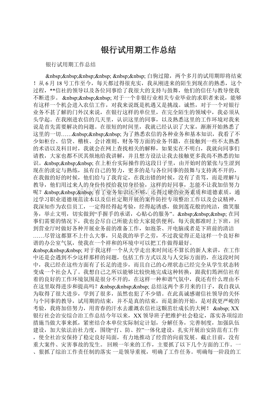 银行试用期工作总结Word格式文档下载.docx