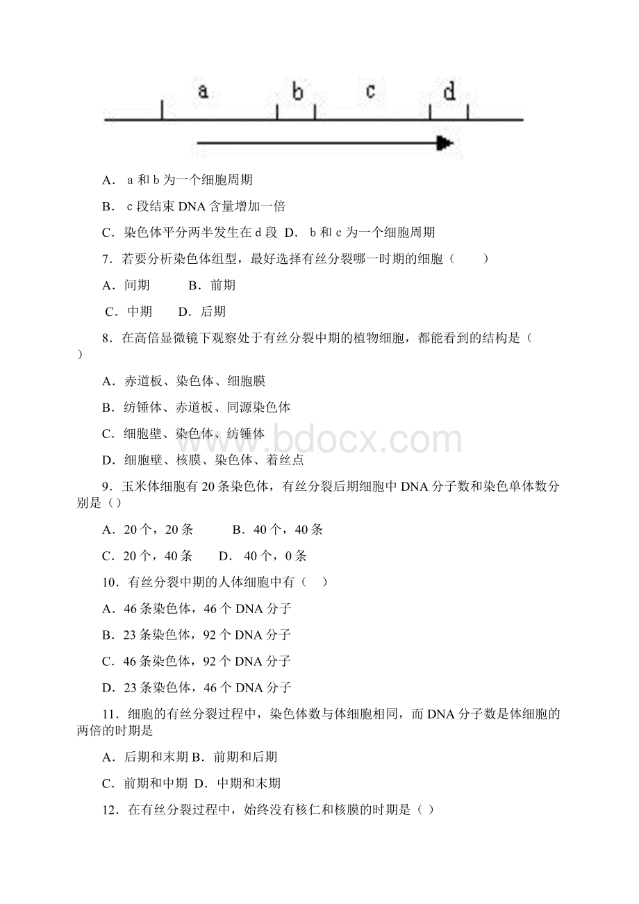 《有丝分裂》专项练习Word文档格式.docx_第2页