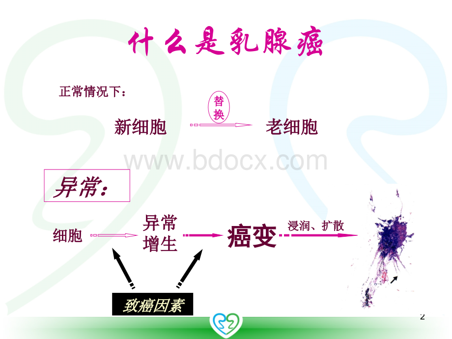 认识乳腺癌--乳腺癌科普PPT二院_精品文档.ppt_第2页