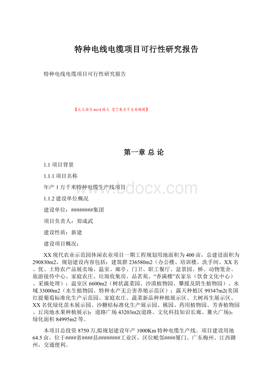 特种电线电缆项目可行性研究报告.docx