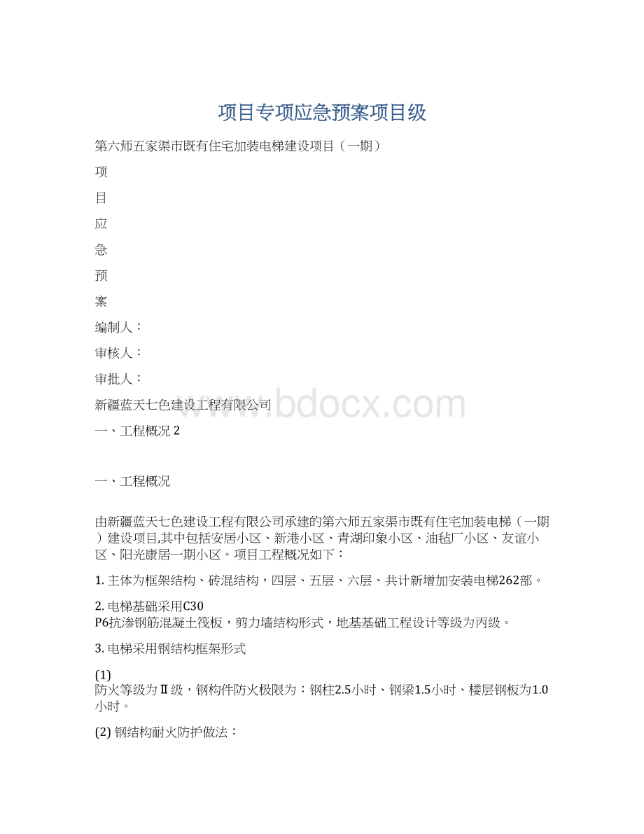 项目专项应急预案项目级.docx