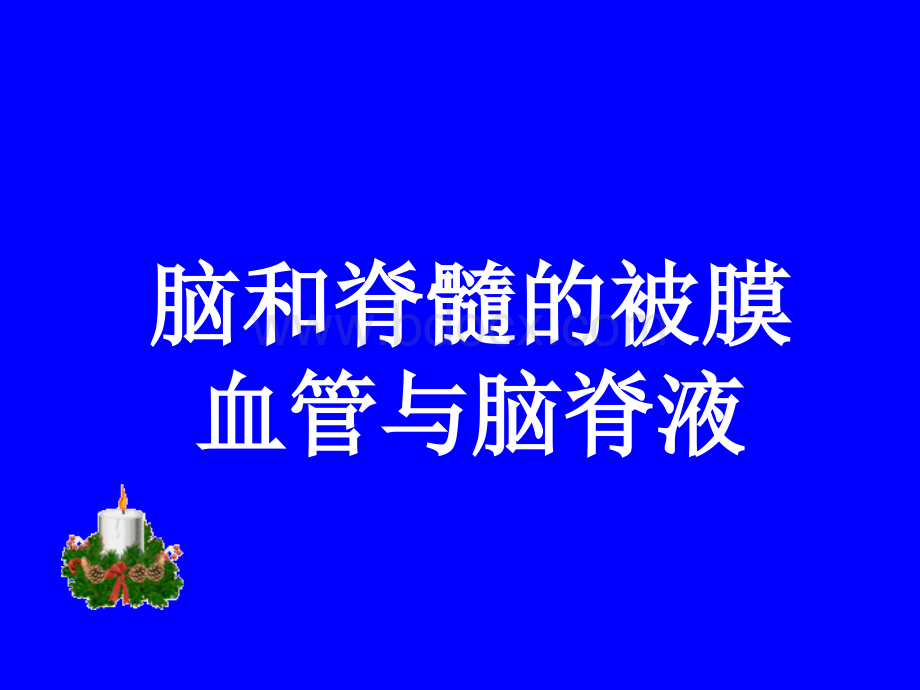 解剖学PPT脑和脊髓被膜血管及脑脊液循环_精品文档.ppt_第1页