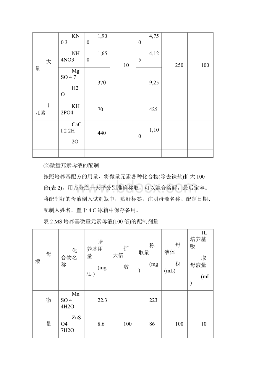 植物愈伤组织诱导培养实验指导李老师Word文档格式.docx_第3页