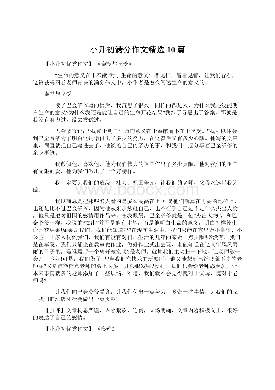 小升初满分作文精选10篇.docx