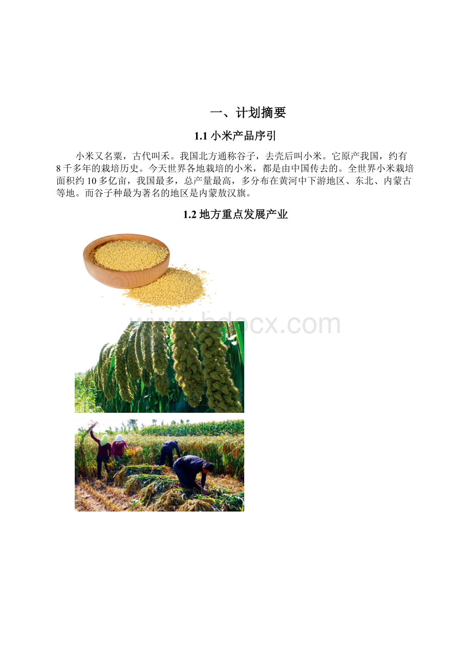 敖汉育健小米种植商业计划书.docx_第2页