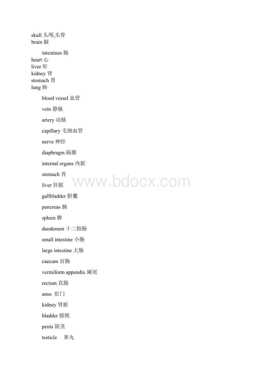 人体器官英语单词文档格式.docx_第2页