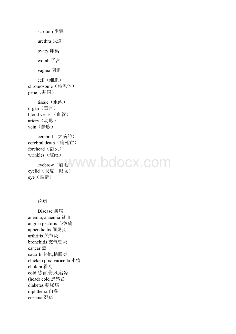 人体器官英语单词文档格式.docx_第3页