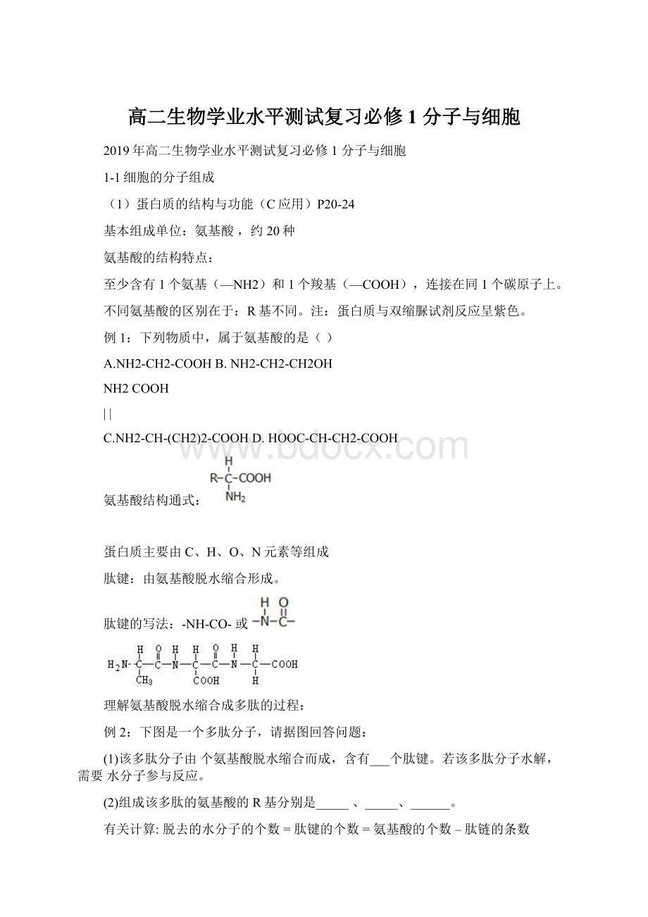 高二生物学业水平测试复习必修1 分子与细胞Word格式.docx_第1页