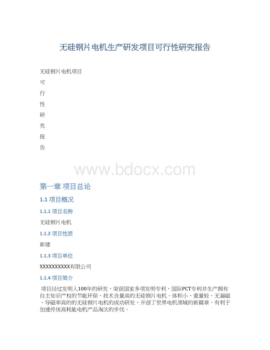 无硅钢片电机生产研发项目可行性研究报告Word文档格式.docx_第1页