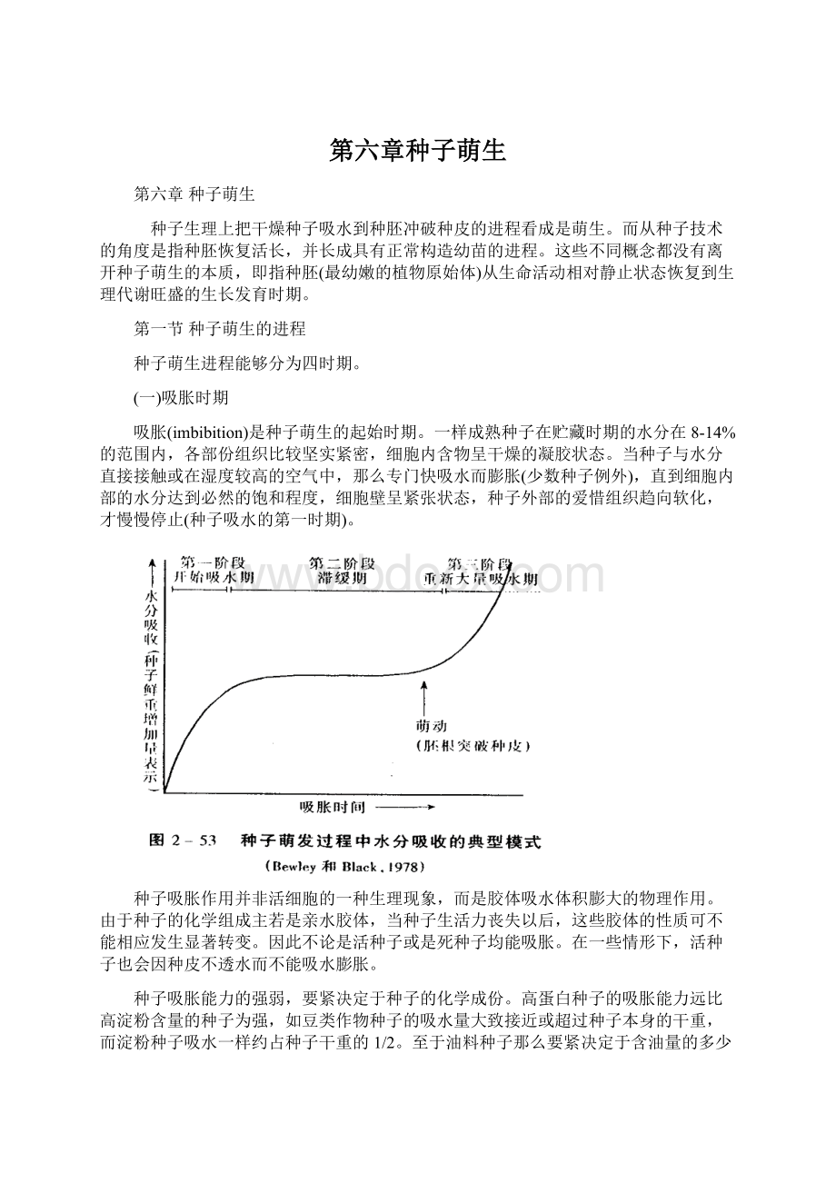 第六章种子萌生文档格式.docx_第1页