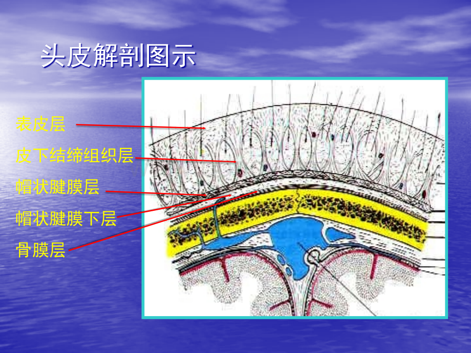 颅脑创伤的急诊处理_精品文档优质PPT.ppt_第3页