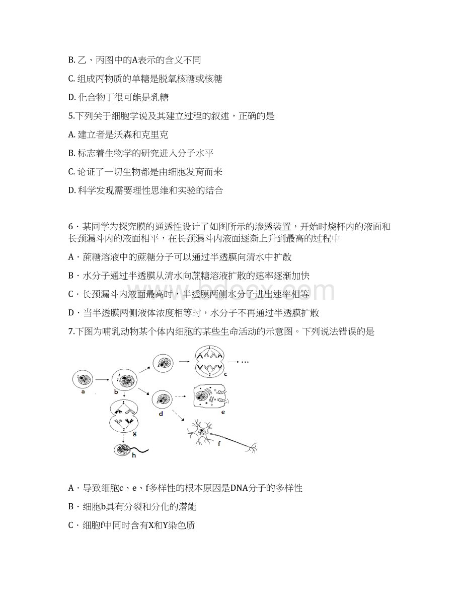 江苏省南通市通州区届高三生物上学期期中调研抽测试题苏教版Word文档格式.docx_第2页