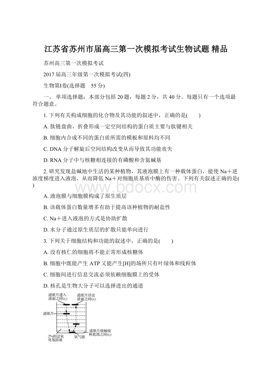 江苏省苏州市届高三第一次模拟考试生物试题 精品.docx_第1页