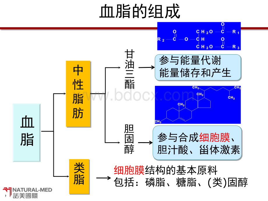 血脂学与高脂血症概述_精品文档PPT资料.ppt_第3页